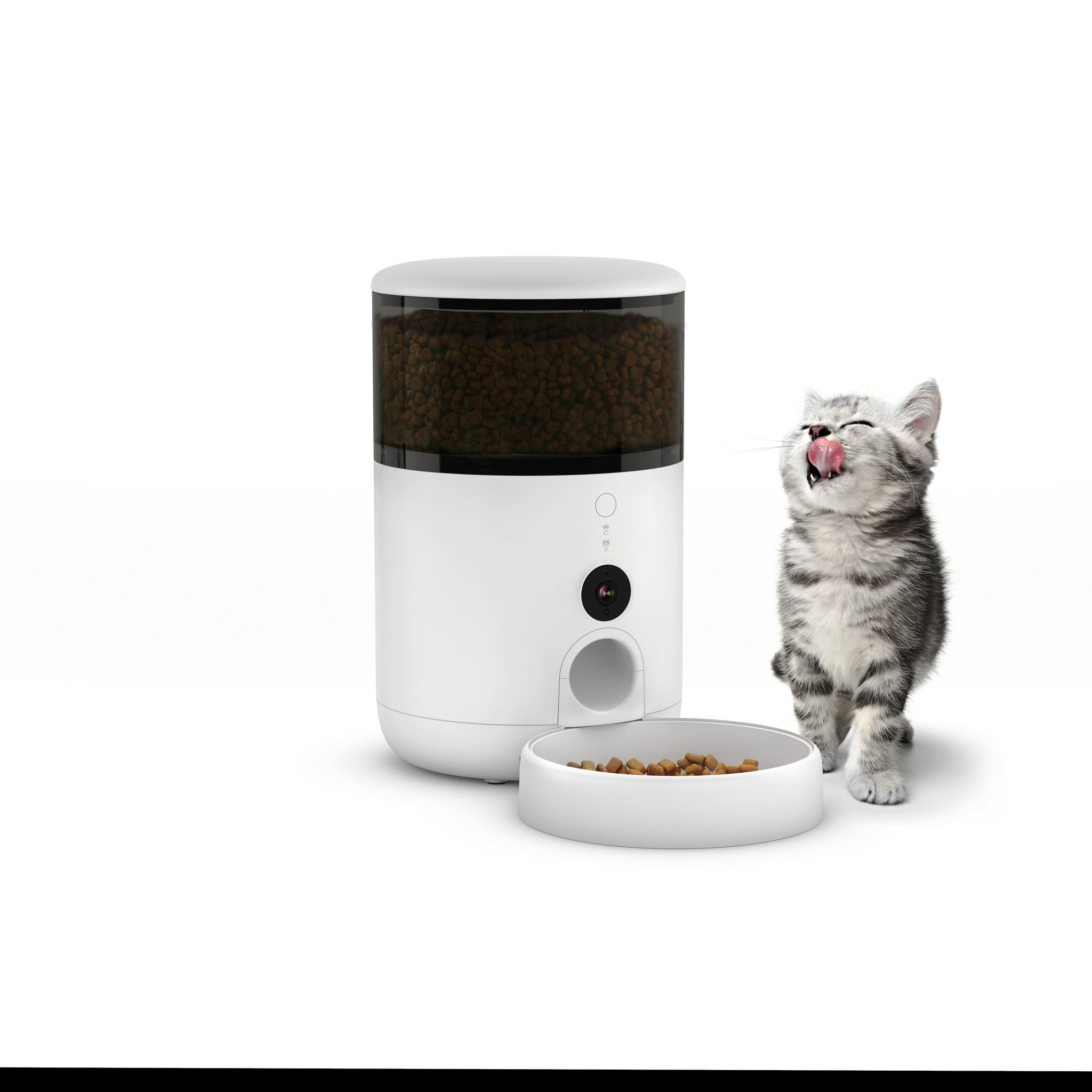 Pawsome is Just a Pro Feeder Away - Petoneer's blog